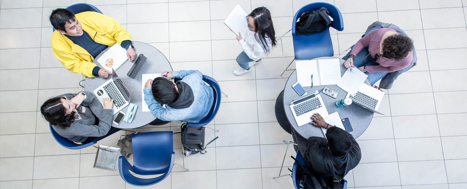 Students studying together