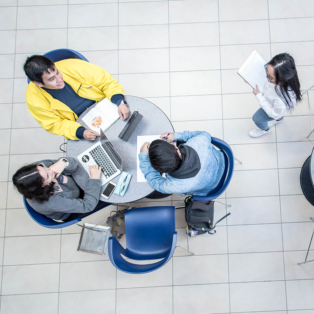 Students studying together