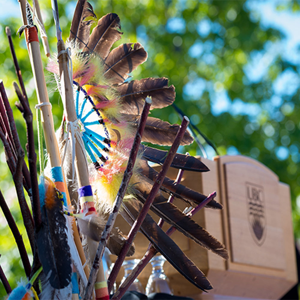 Head Dress Feathers