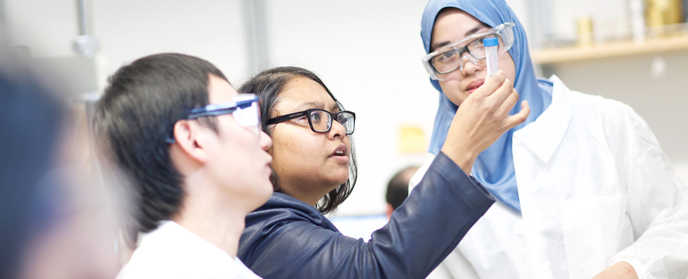 Science Undergraduate Students working in Lab