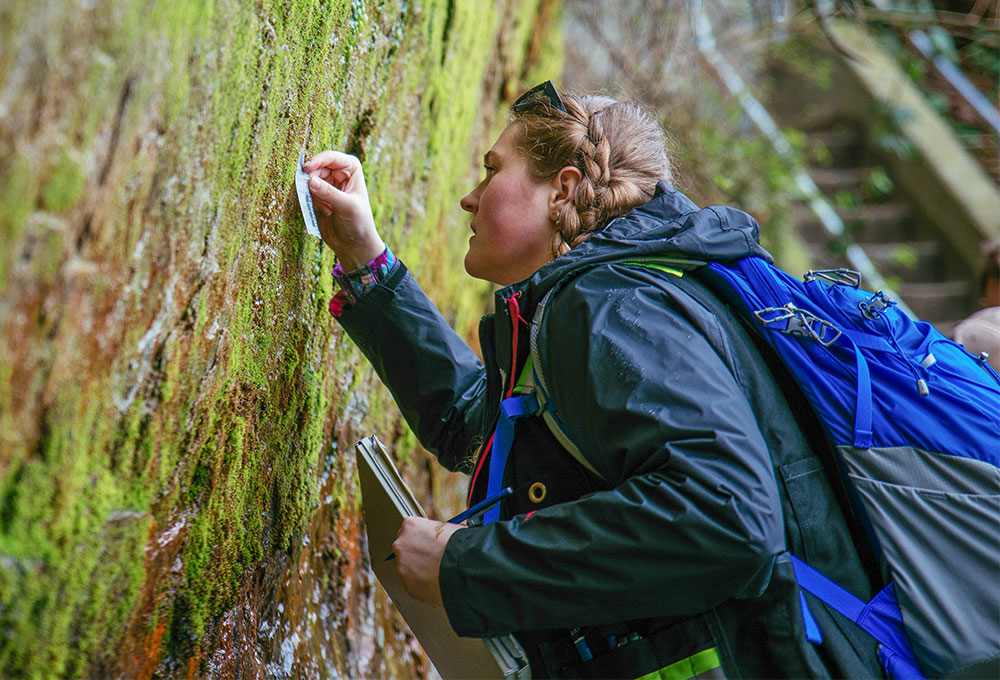 Earth and Environmental Sciences Student Studying a Tree