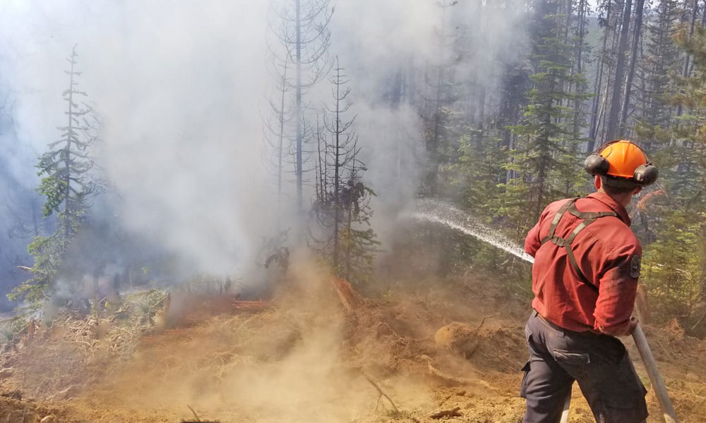 A man sprays water on flames in a fiery forest