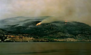 Living with Wildfire