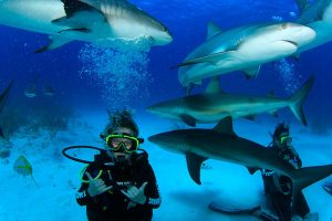 From Australia, Asia (and a few spots in-between) to academia