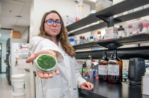UBC Okanagan researchers discover neurotoxin in Lake Winnipeg