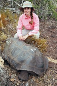 DNA analysis of near-extinct tortoises leads to gold medal win