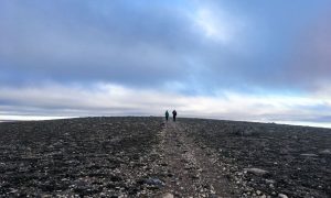 Arctic Insights