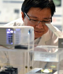 Newly developed 3D printed tissues could advance cancer research