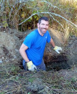 Ancient fungi could help Canada’s future northern forests